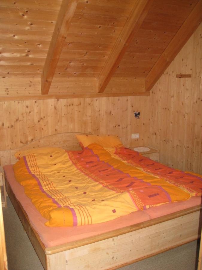 Alpenferienhaus Kreischberg St. Lorenzen ob Murau Zewnętrze zdjęcie