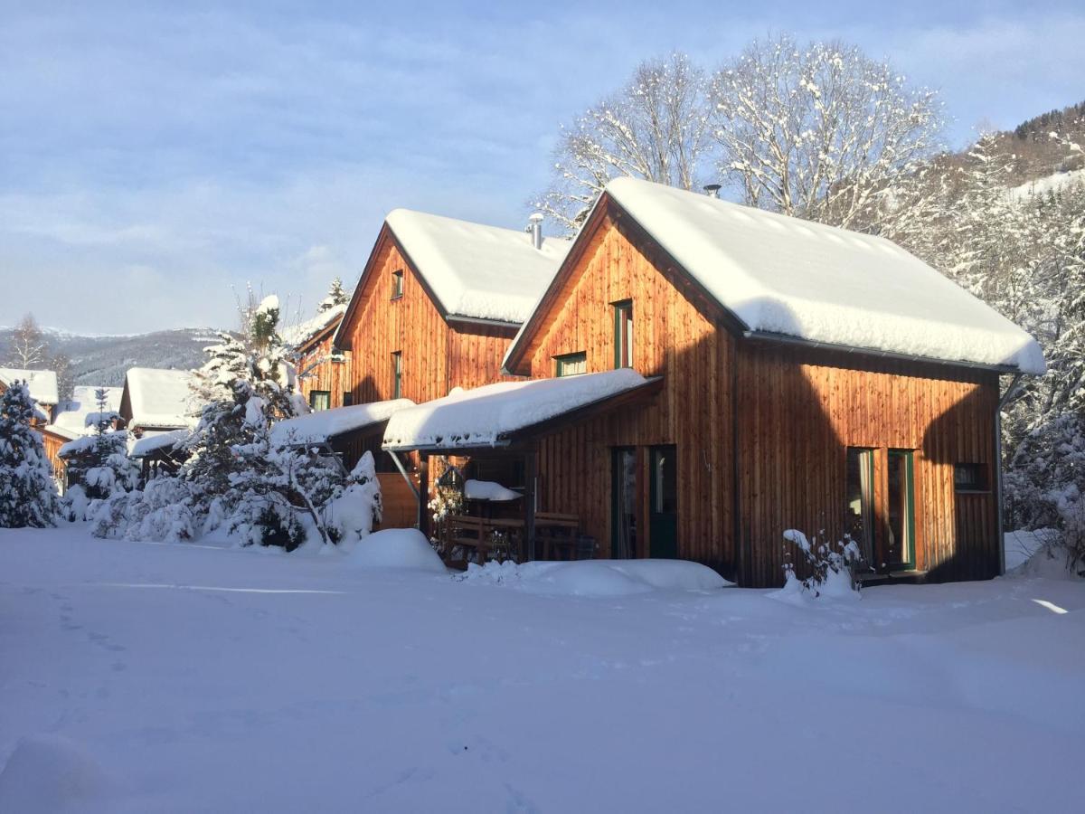 Alpenferienhaus Kreischberg St. Lorenzen ob Murau Zewnętrze zdjęcie