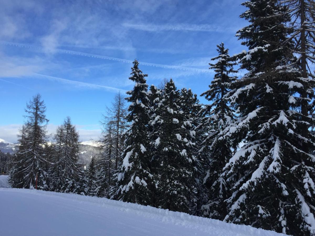 Alpenferienhaus Kreischberg St. Lorenzen ob Murau Zewnętrze zdjęcie