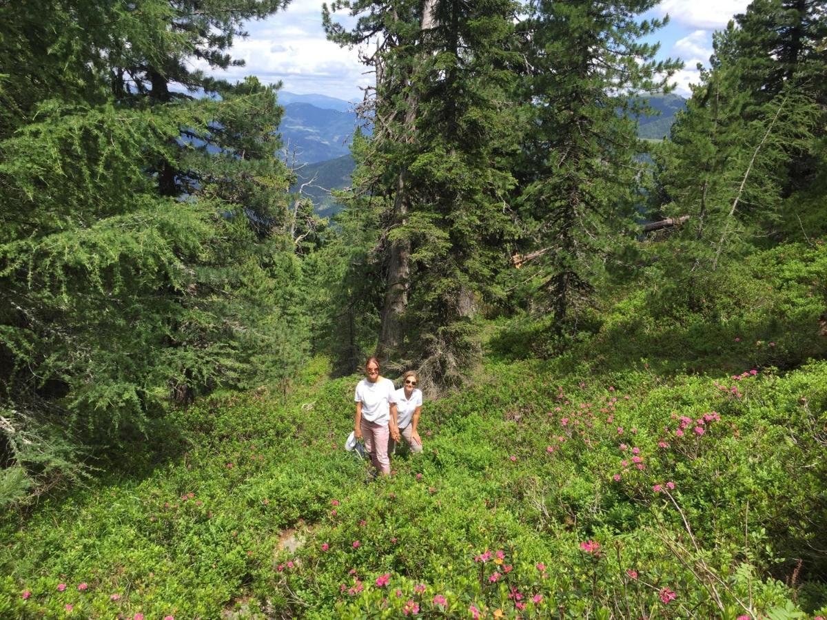 Alpenferienhaus Kreischberg St. Lorenzen ob Murau Zewnętrze zdjęcie