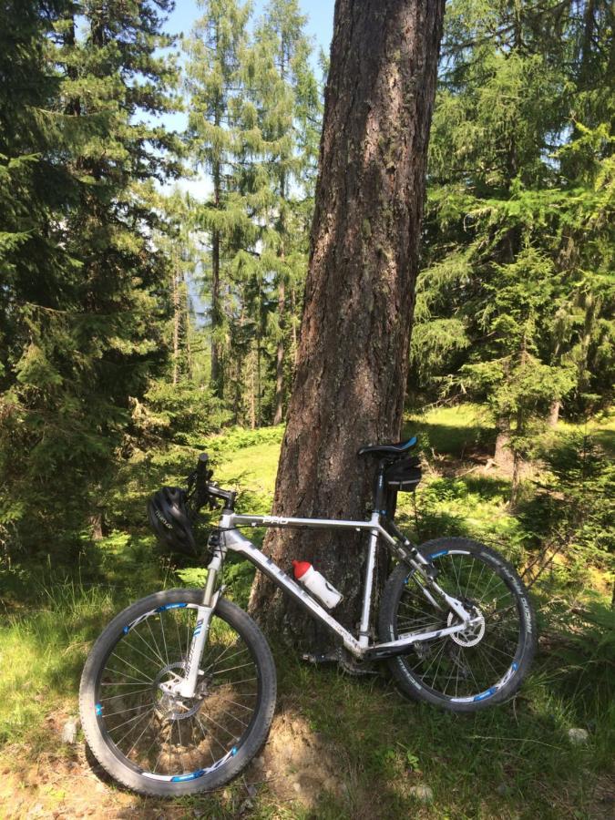Alpenferienhaus Kreischberg St. Lorenzen ob Murau Zewnętrze zdjęcie
