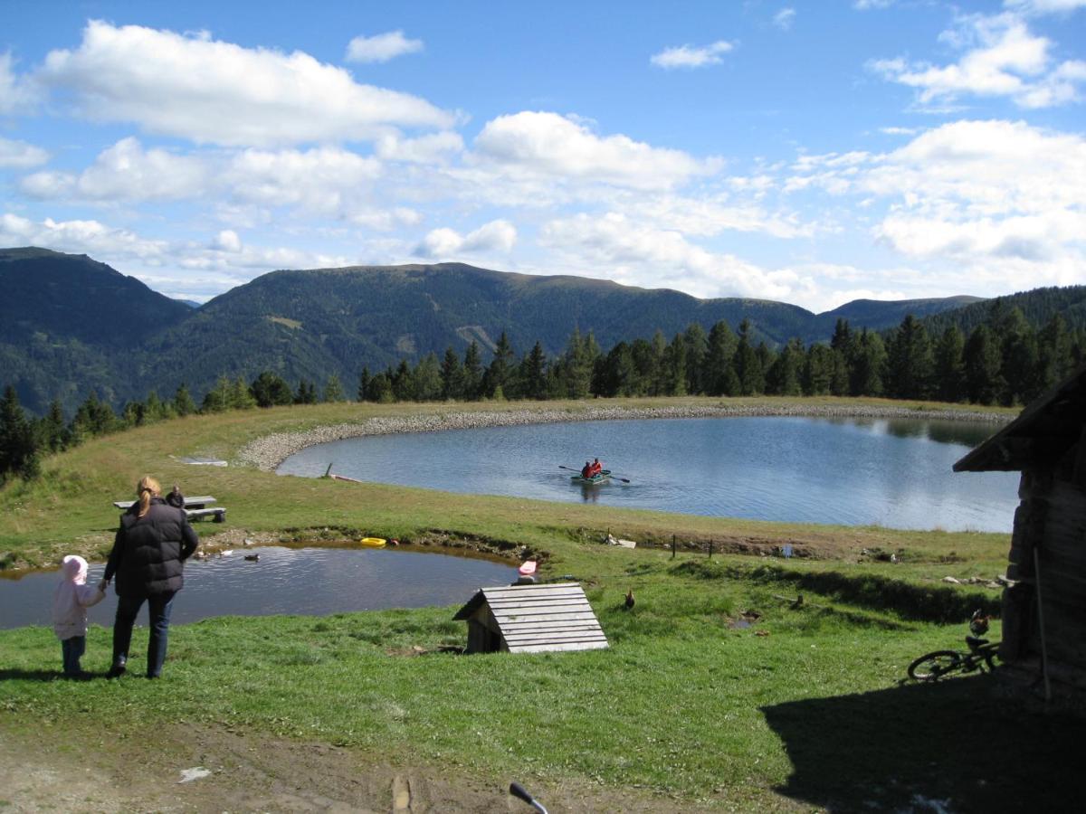 Alpenferienhaus Kreischberg St. Lorenzen ob Murau Zewnętrze zdjęcie