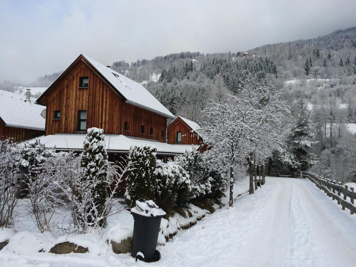 Alpenferienhaus Kreischberg St. Lorenzen ob Murau Zewnętrze zdjęcie