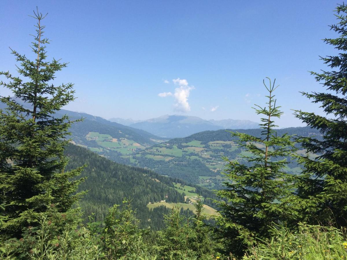 Alpenferienhaus Kreischberg St. Lorenzen ob Murau Zewnętrze zdjęcie