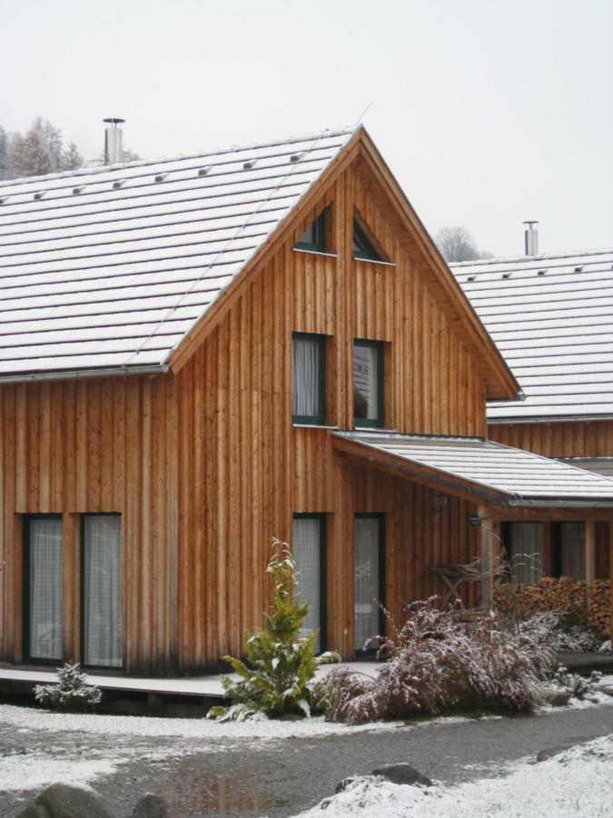 Alpenferienhaus Kreischberg St. Lorenzen ob Murau Zewnętrze zdjęcie